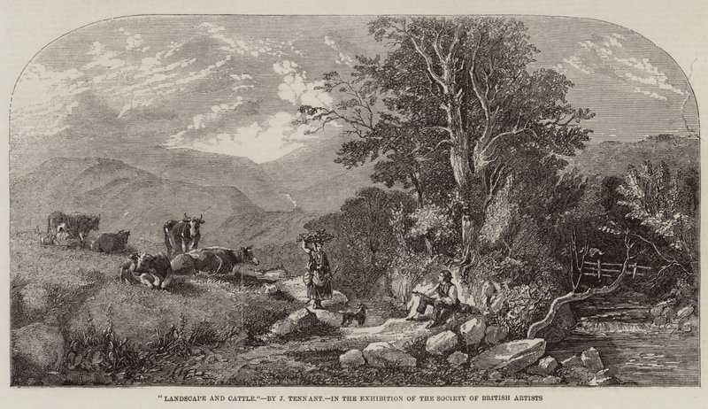 Landscape and Cattle by John F. Tennant