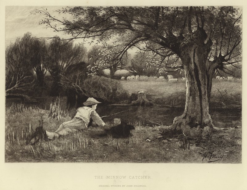 The Minnow Catcher by John Fullwood