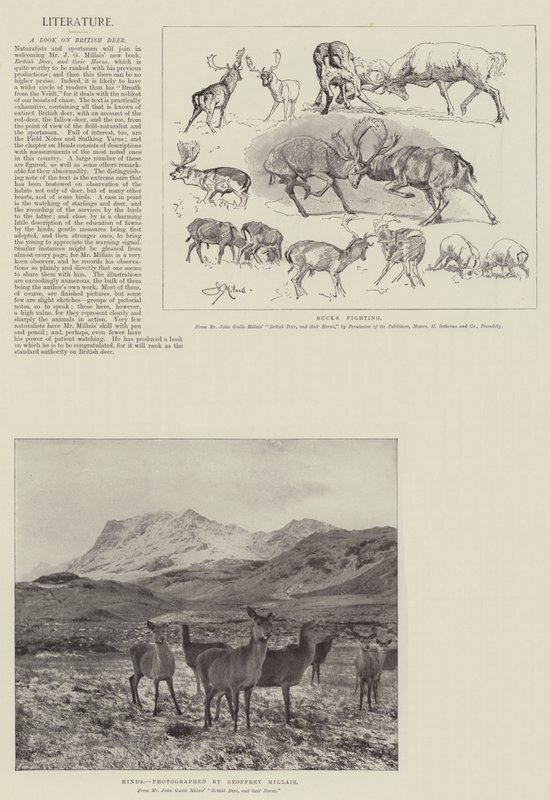 A Book on British Deer by John Guille Millais