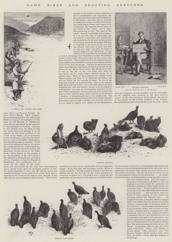 Game Birds and Shooting Sketches by John Guille Millais