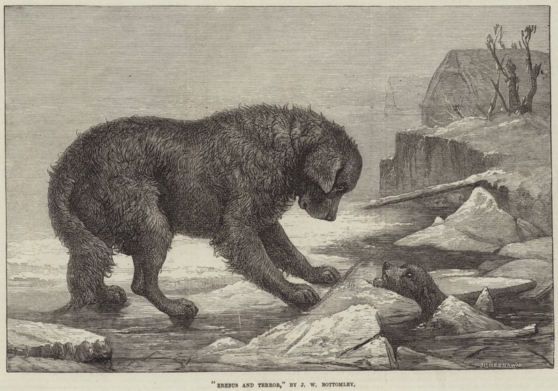 Erebus and Terror by John William Bottomley