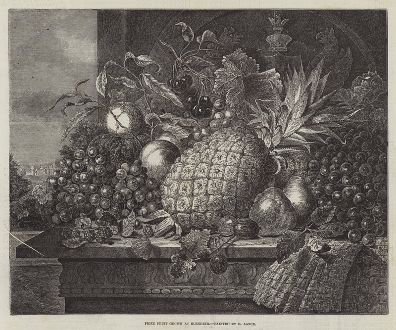 Prize Fruit Grown at Blenheim by John Wykeham Archer