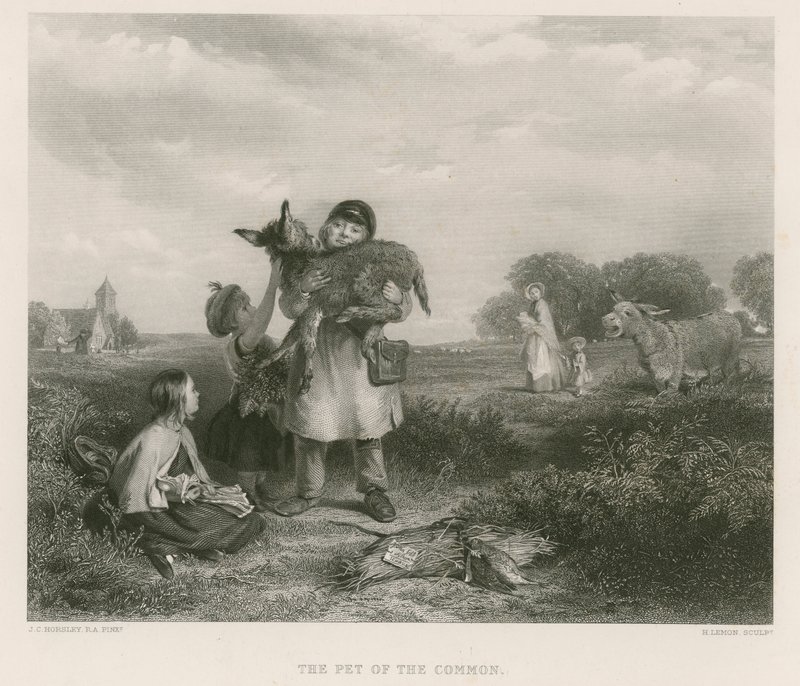 The Pet of the Common by John Callcott Horsley