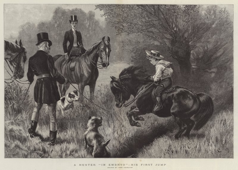 A Hunter in Embryo, his First Jump by John Charlton