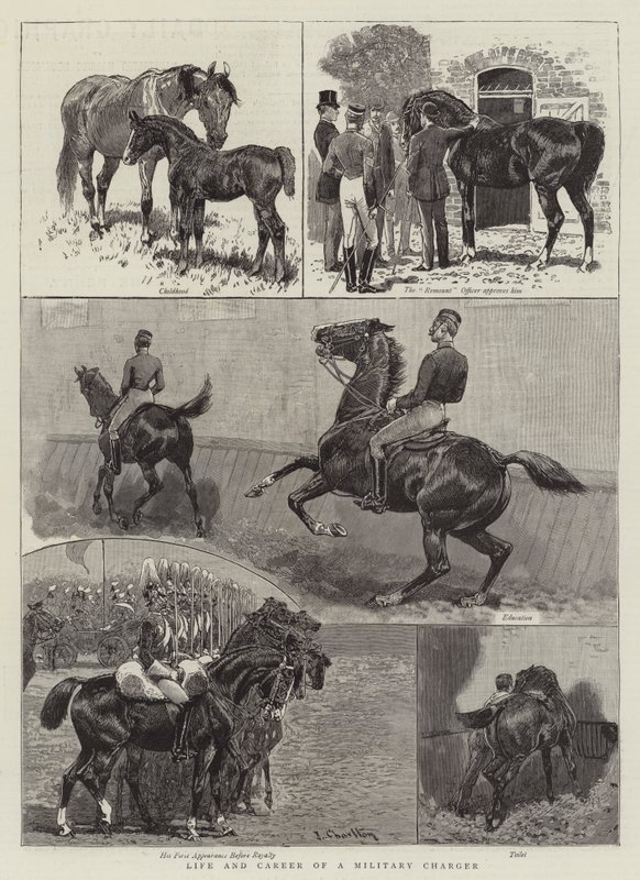 Life and Career of a Military Charger by John Charlton