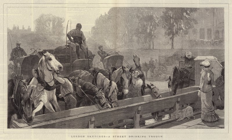 London Sketches, a Street Drinking Trough by John Charlton