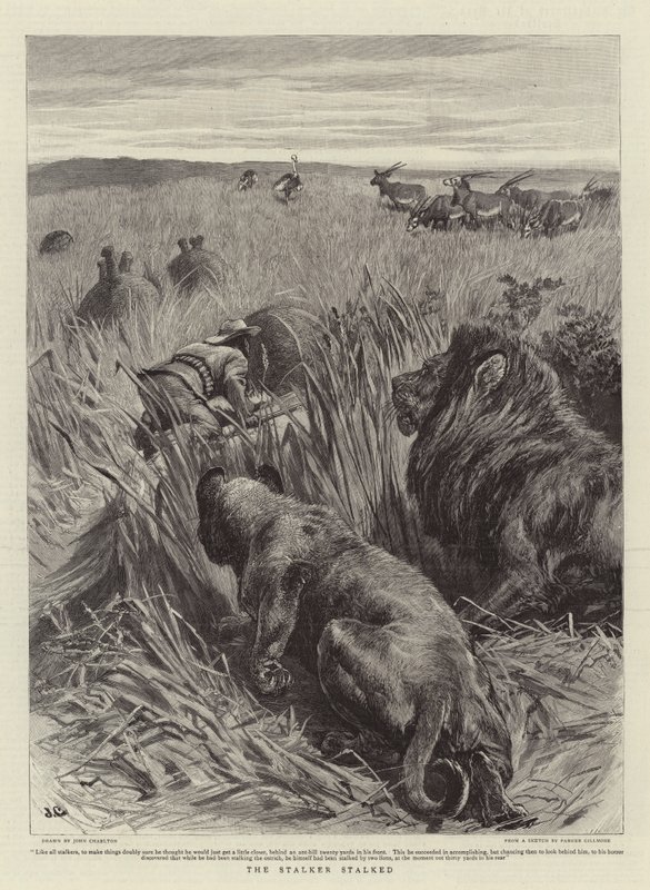 The Stalker Stalked by John Charlton