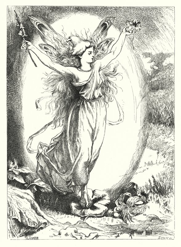 The Hidden Roses by John Lawson
