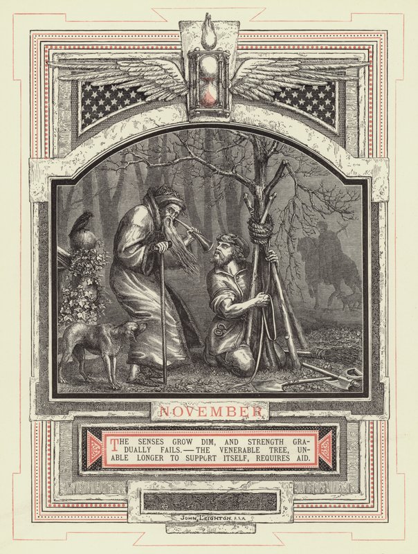 November by John Leighton