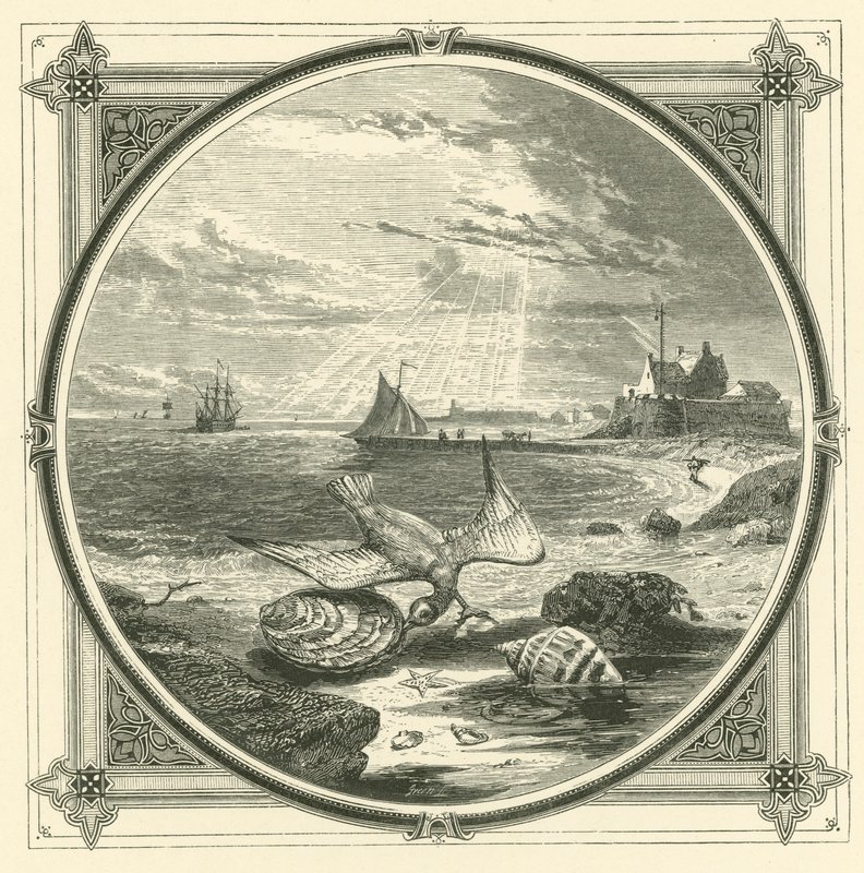 The biter bitten by John Leighton