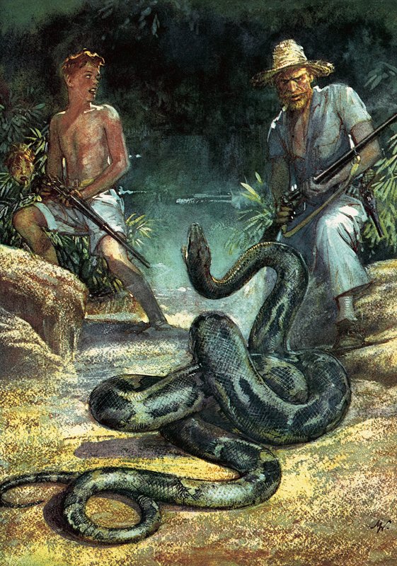 Swiss Family Robinson by John Millar Watt