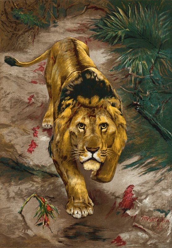 The Blood Trail by John Trivett Nettleship