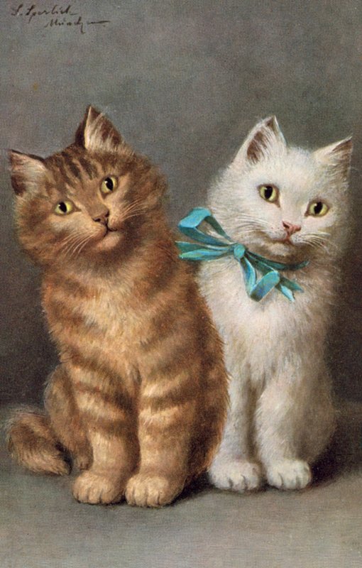 Cat postcard by Josef Sperlich