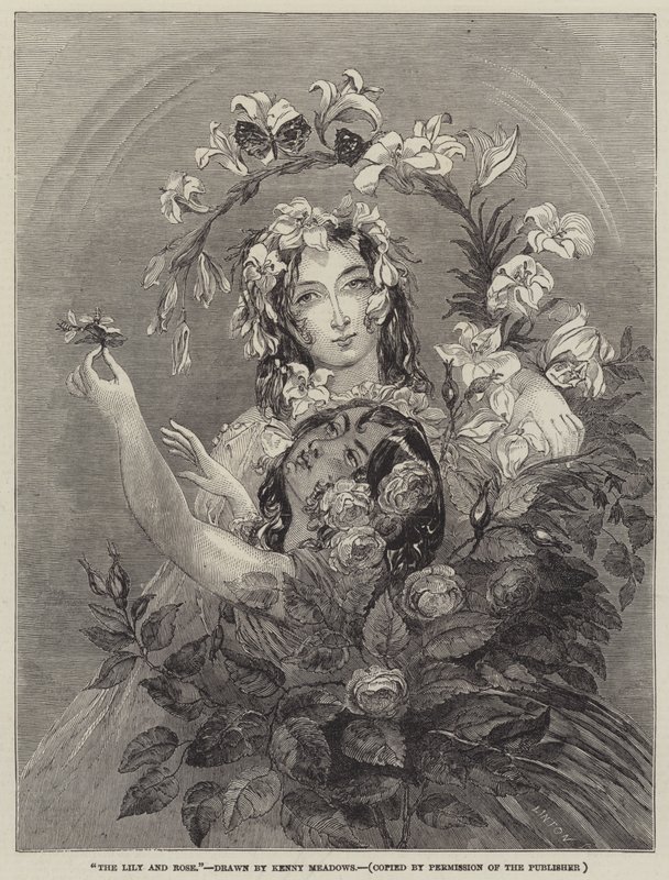 The Lily and Rose by Joseph Kenny Meadows
