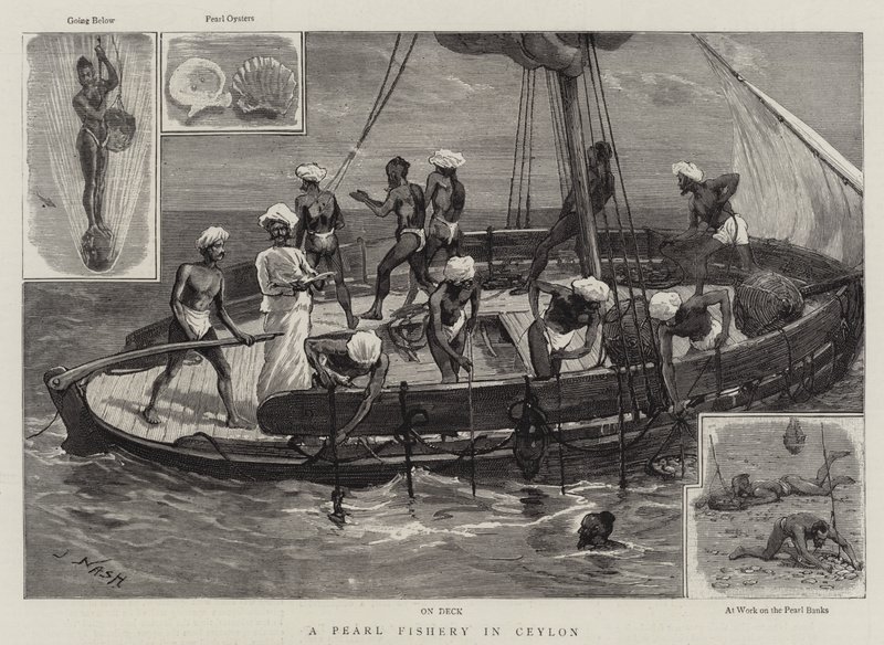 A Pearl Fishery in Ceylon by Joseph Nash