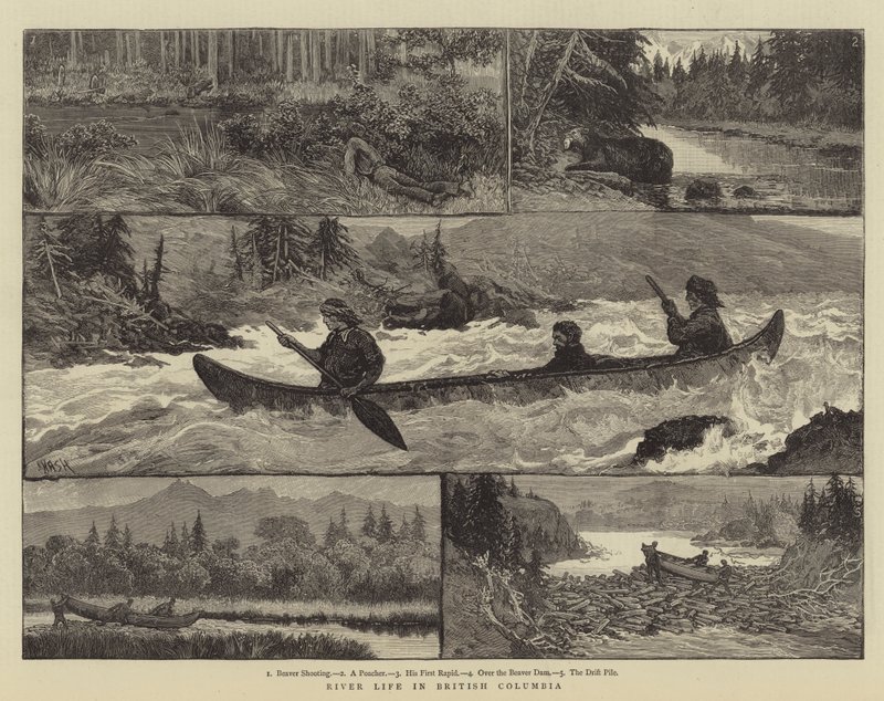 River Life in British Columbia by Joseph Nash