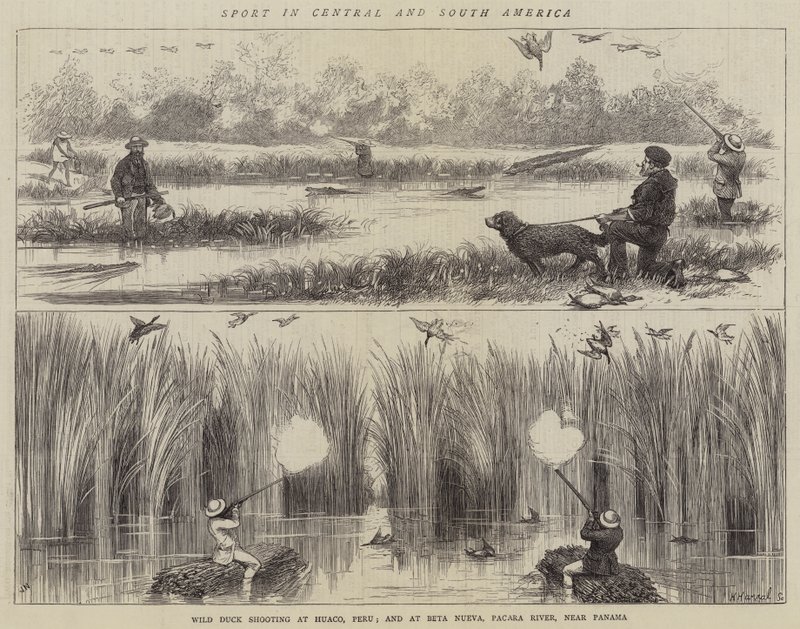 Sport in Central and South America by Joseph Nash