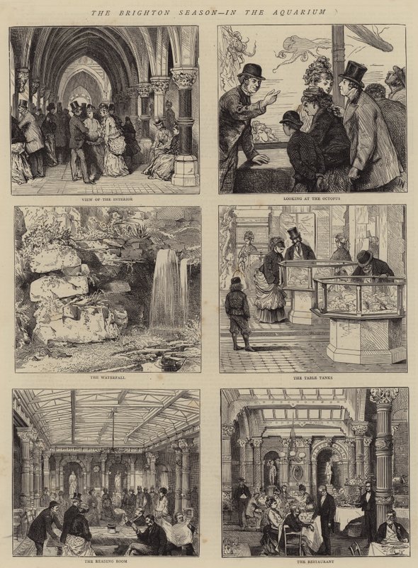 The Brighton Season, in the Aquarium by Joseph Nash