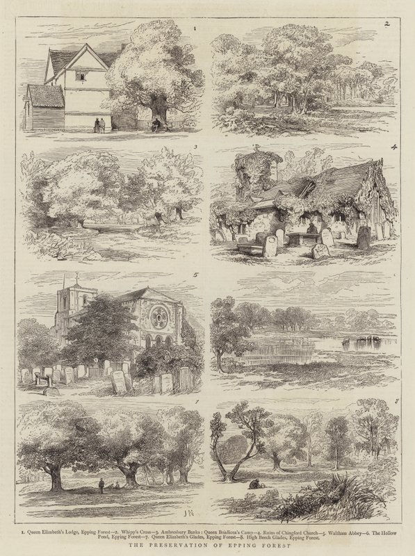 The Preservation of Epping Forest by Joseph Nash
