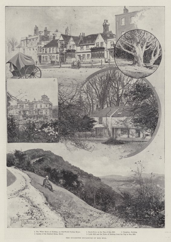 The Suggested Enclosure of Box Hill by Joseph Holland Tringham
