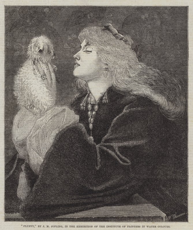 Fluffy by Joseph Middleton Jopling