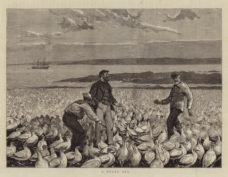 A Guano Bed by Joseph Nash