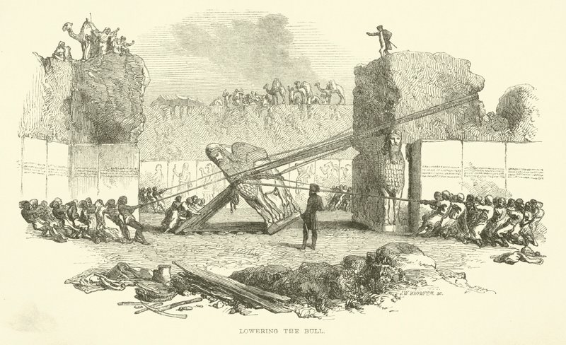 Lowering the bull by Josiah Wood Whymper