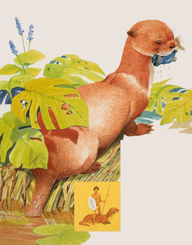 The Saro by Kenneth Lilly