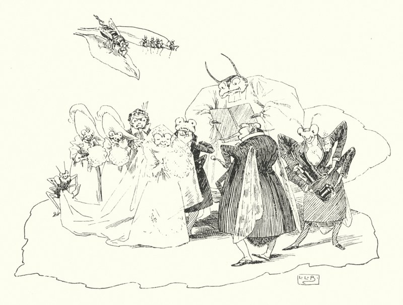 Fiddle-de-dee, fiddle-de-dee (engraving) by Leonard Leslie Brooke