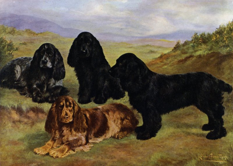Cocker Spaniels by Lilian Cheviot