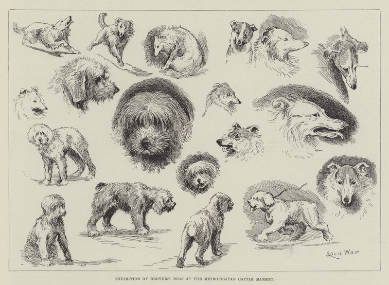 Exhibition of Drovers