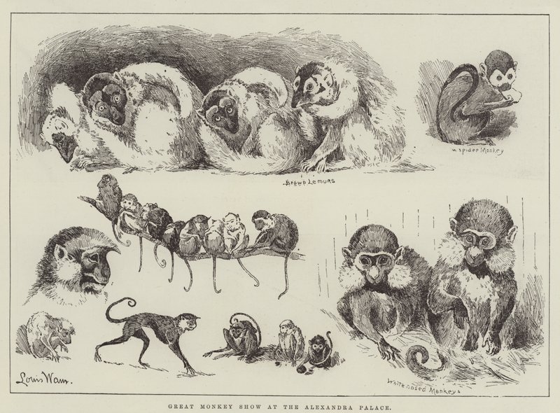 Great Monkey Show at the Alexandra Palace by Louis Wain