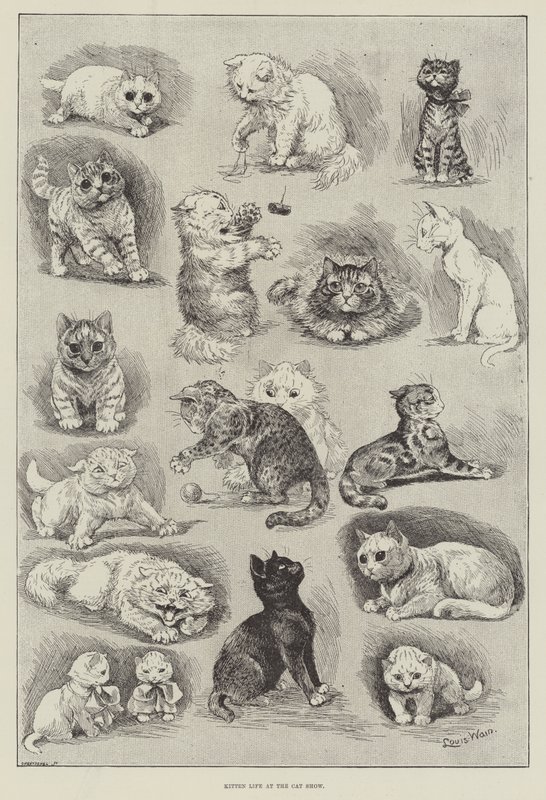 Kitten Life at the Cat Show by Louis Wain