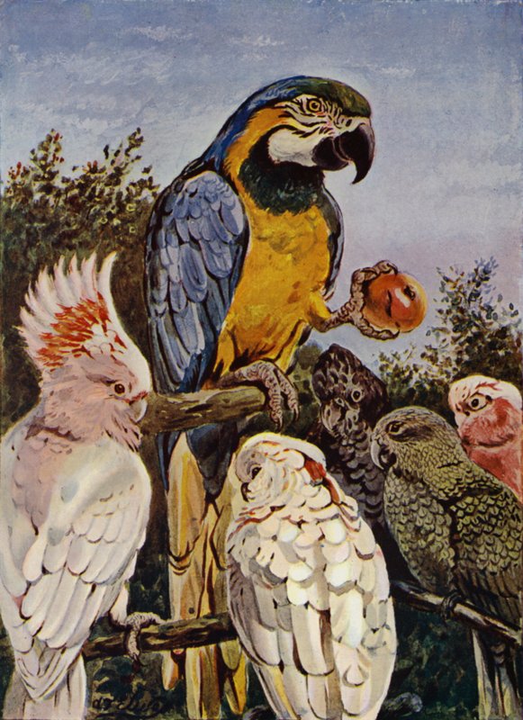 Who bit my apple? by Louis Fairfax Muckley