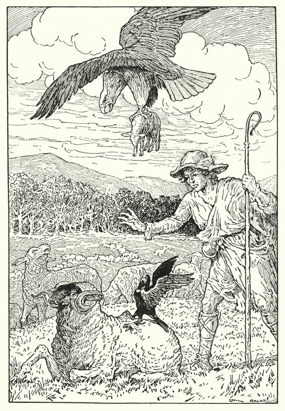 The Eagle and the Jackdaw by Louis John Rhead