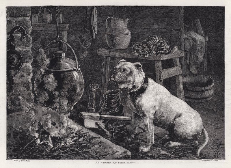 A watched pot never boils! by Louis Wain