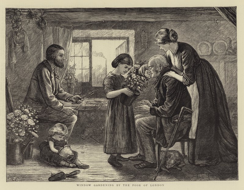 Window Gardening by the Poor of London by Mary Ellen Edwards