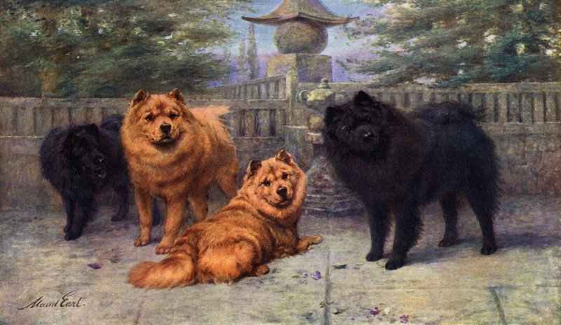 Four Champion Chow-Chows Owned by Mrs. Scaramanga by Maud Earl