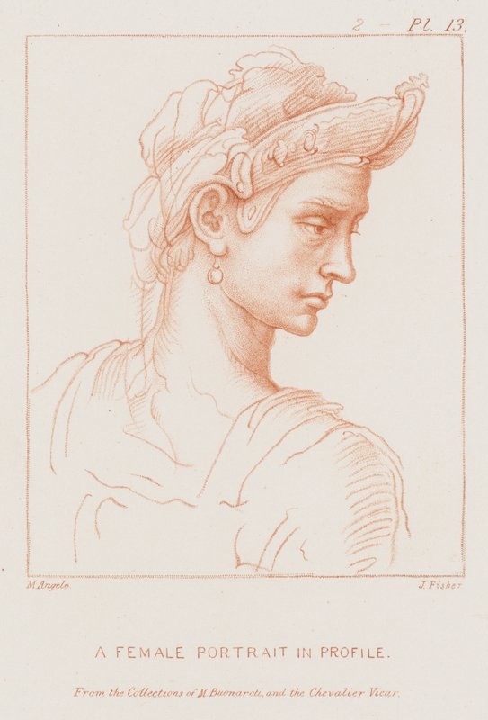 A female portrait in profile by Michelangelo Buonarroti