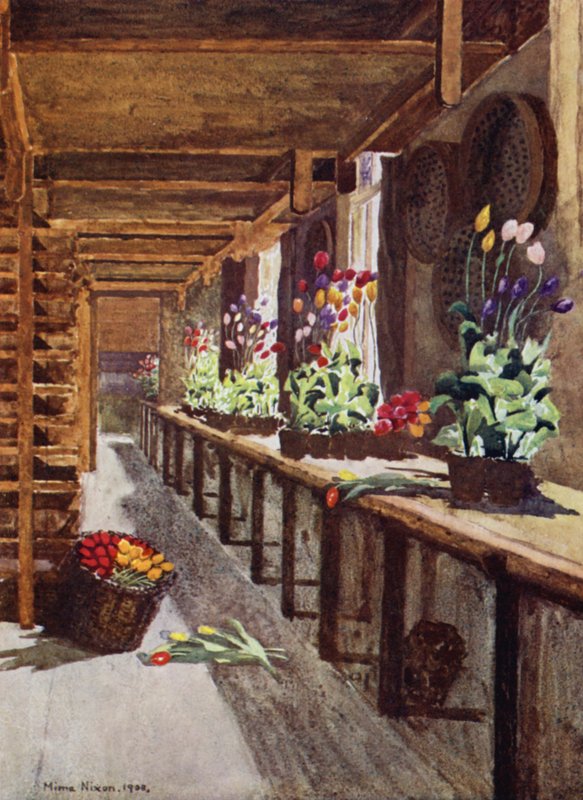 A Bulb House by Mima Nixon
