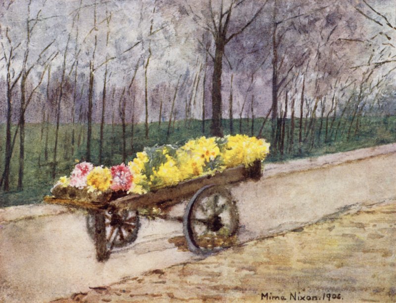 Bulb Time, Haarlem by Mima Nixon