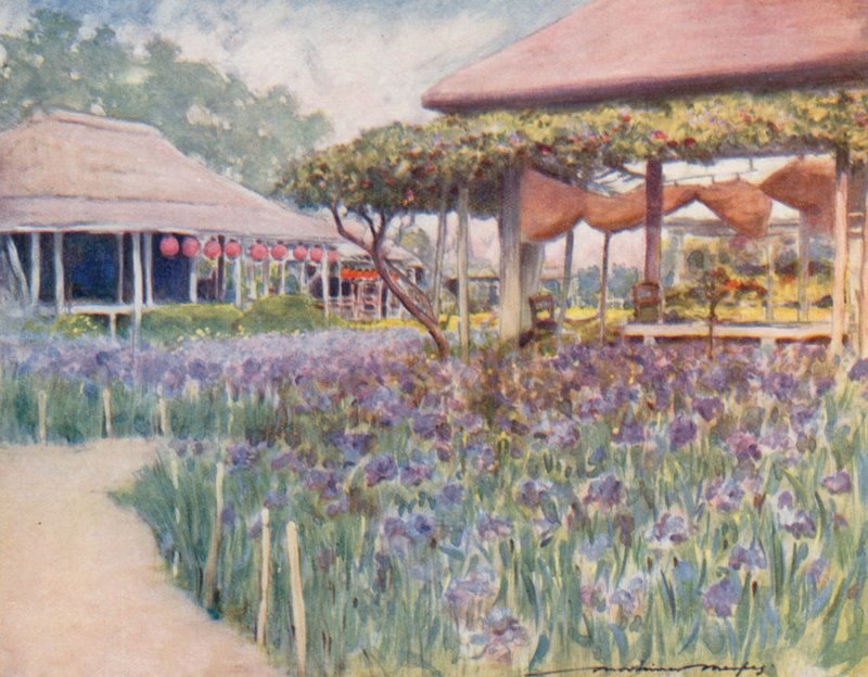 An Iris Garden by Mortimer Ludington Menpes
