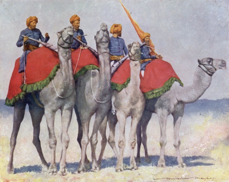 Camelry from Alwar by Mortimer Ludington Menpes