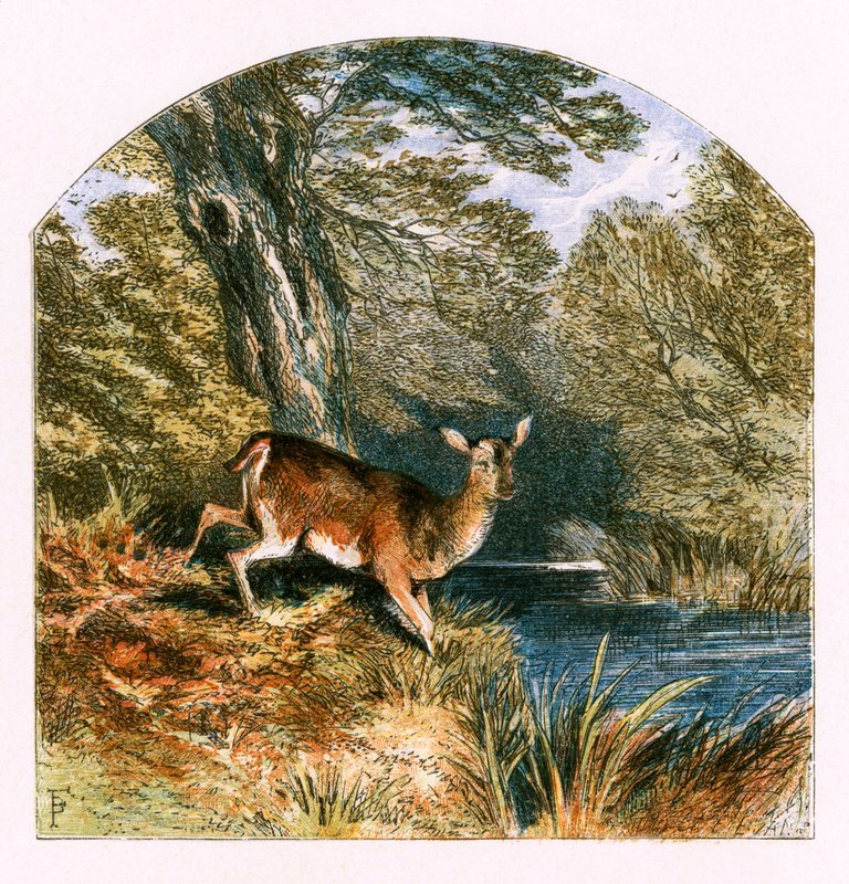 Illustration for 