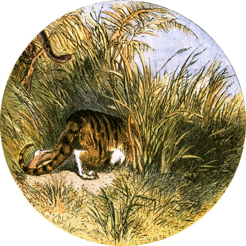 Illustration for 