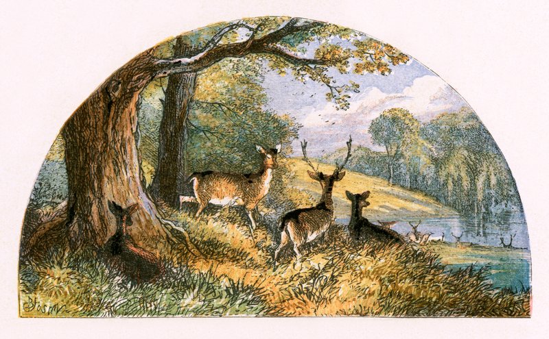 Illustration for 