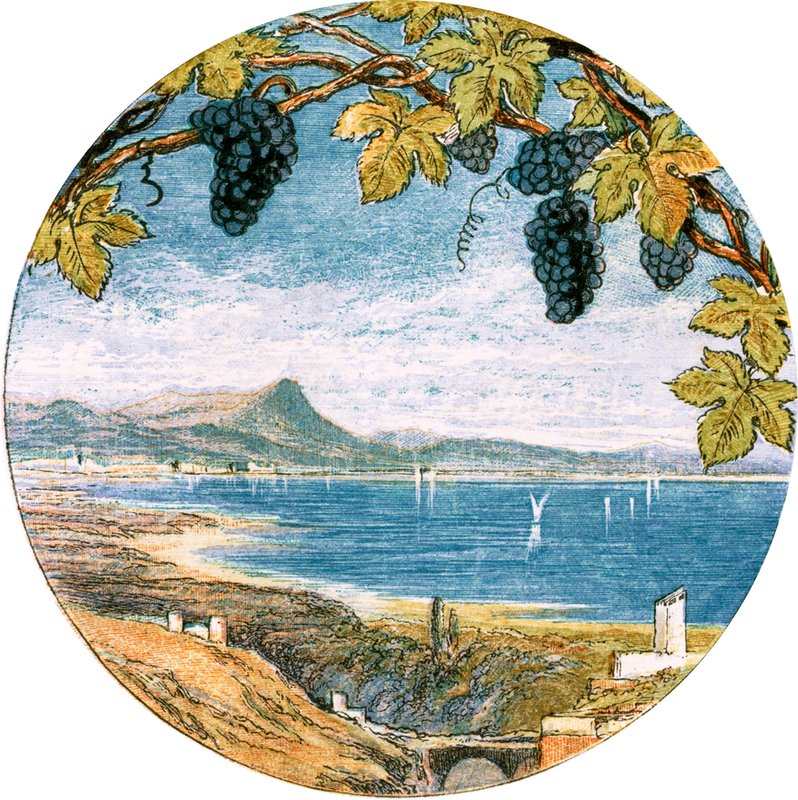 Illustration for 