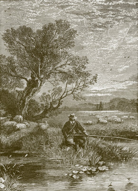 The Angler