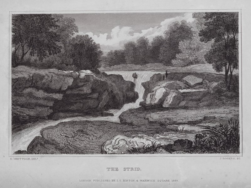 The Strid by Nathaniel (after) Whittock