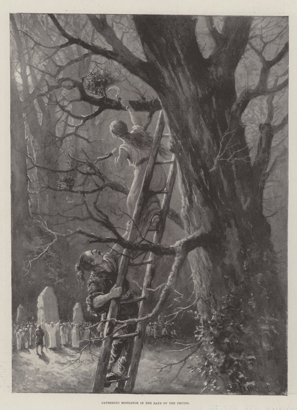 Gathering Mistletoe in the Days of the Druids by Paul Frenzeny